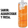 Red Bull  Caja Mixta 4 Sabores